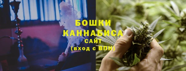 PSILOCYBIN Каменск-Шахтинский
