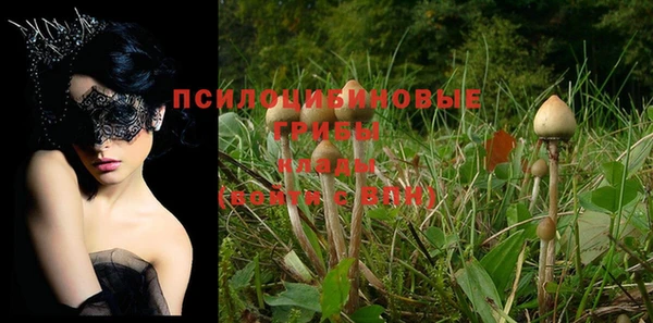 MDMA Каменногорск