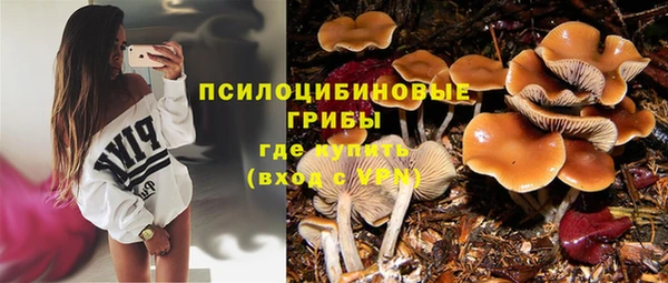 PSILOCYBIN Каменск-Шахтинский