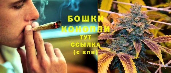 PSILOCYBIN Каменск-Шахтинский