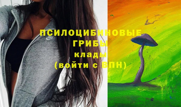 MDMA Каменногорск