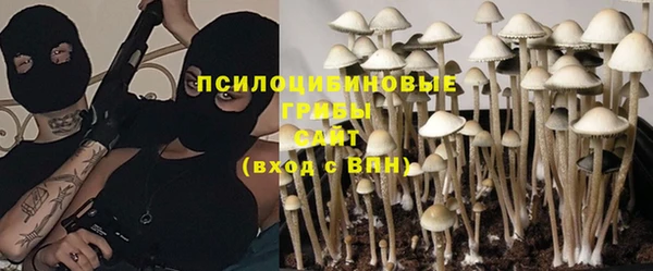MDMA Каменногорск
